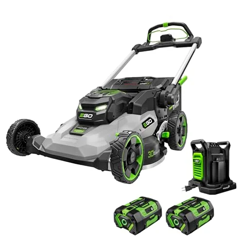best lawn mower of 2025