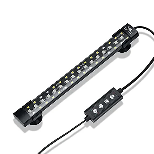 best aquarium light color
