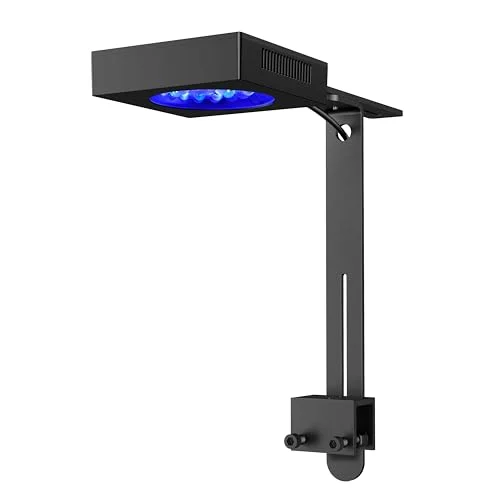 best aquarium light for coral