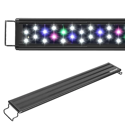 best aquarium light for fish