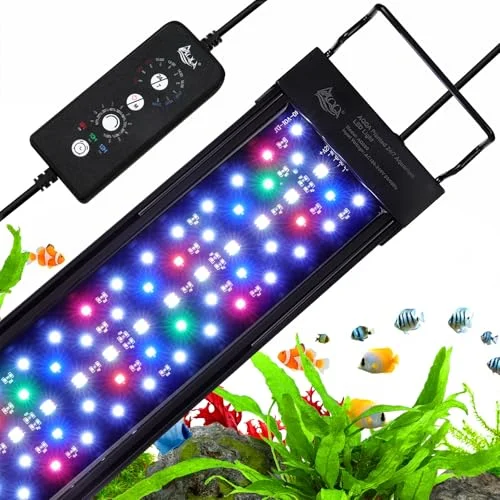 best aquarium light for high light plants
