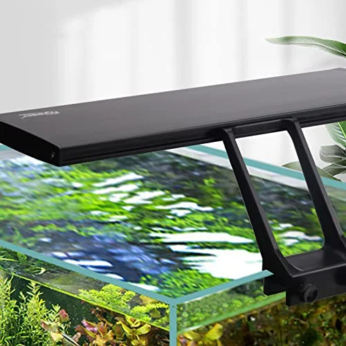 best aquarium light for planted tank