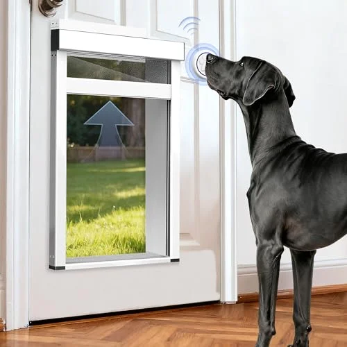 best smart doorbell with dog detection