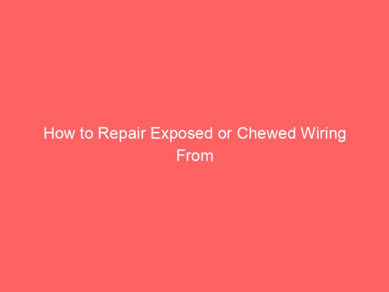 How to Repair Exposed or Chewed Wiring From Pet-Damaged Cords