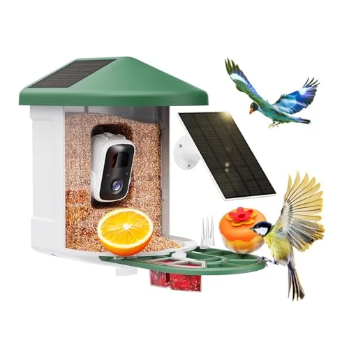 best bird feeder camera for elderly