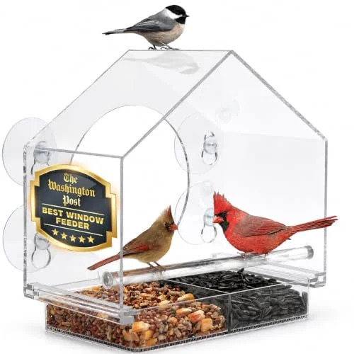 best bird feeder ever