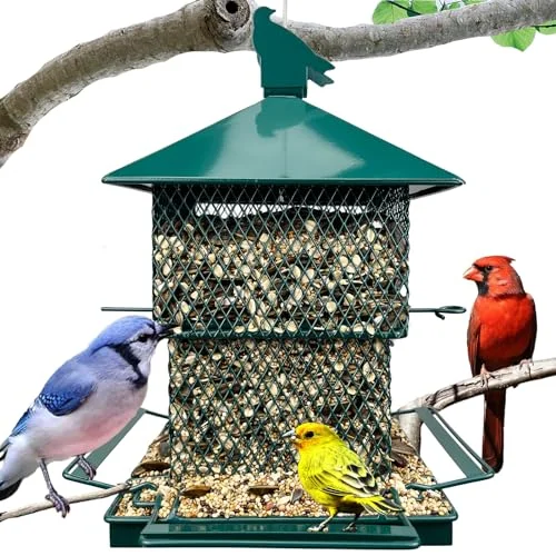 best bird feeder for a blue jay