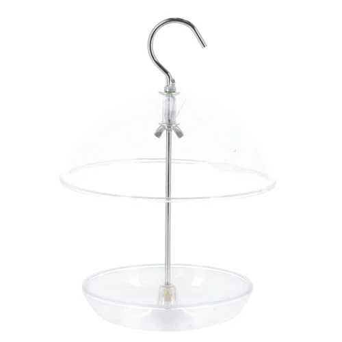 best bird feeder for a robin