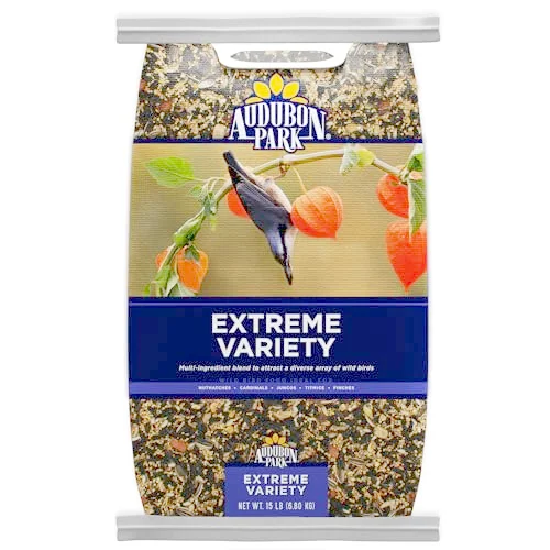 best bird feeder for a variety of birds