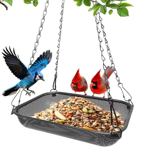 best bird feeder for all types of birds