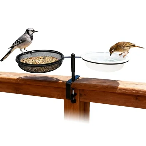 best bird feeder for apartment balcony