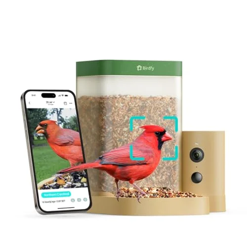 best bird feeder for beginners