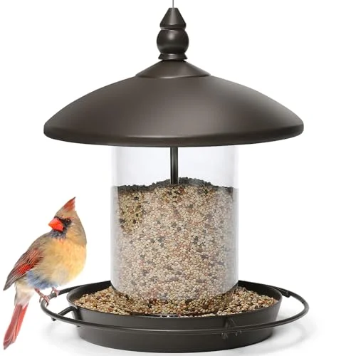 best bird feeder for blue jays