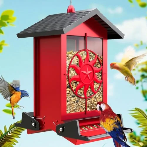 best bird feeder for cardinals and blue jays