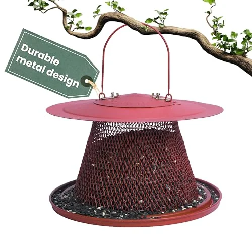 best bird feeder for cardinals outdoor
