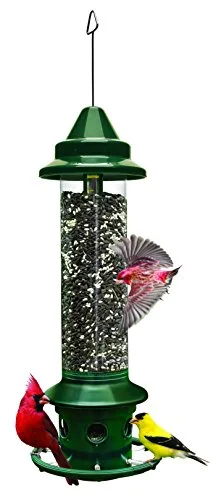 best bird feeder for cardinals squirrel proof