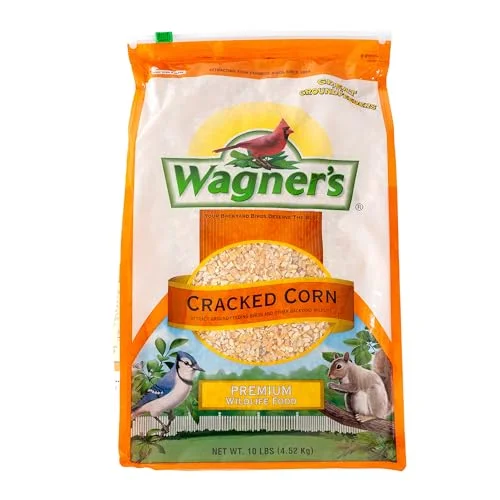 best bird feeder for cracked corn