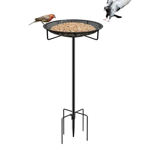 best bird feeder for crows