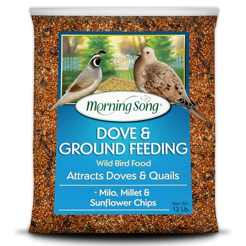 best bird feeder for doves