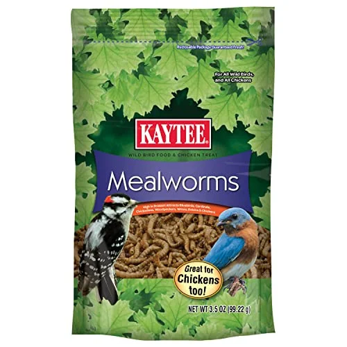 best bird feeder for dried mealworms