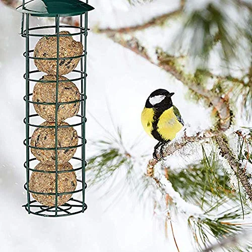 best bird feeder for fat balls