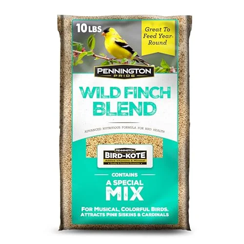 best bird feeder for finch food