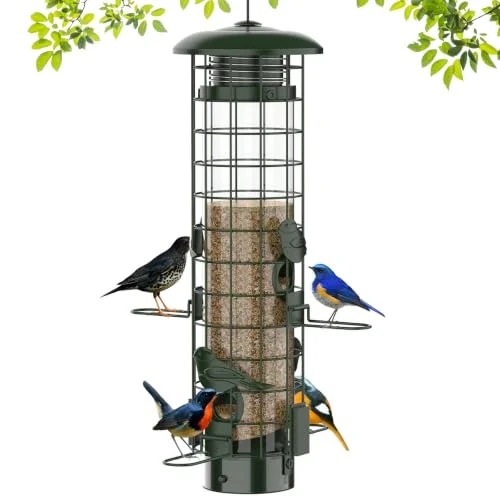 best bird feeder for finches and cardinals