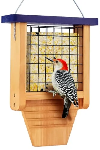 best bird feeder for flickers