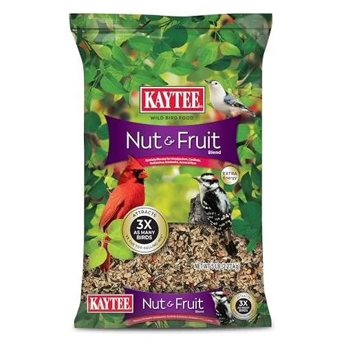 best bird feeder for fruit and nut mix