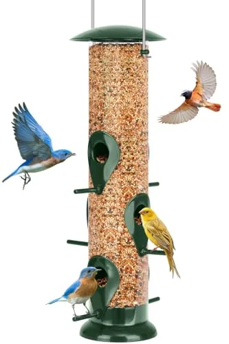 best bird feeder for garden