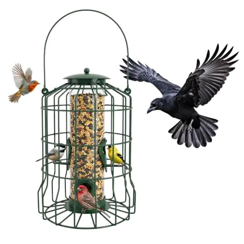 best bird feeder for grackles