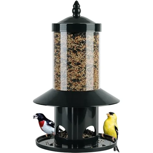 best bird feeder for grosbeaks