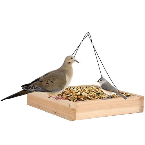best bird feeder for mourning doves