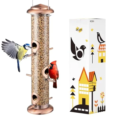 best bird feeder for rose breasted grosbeak