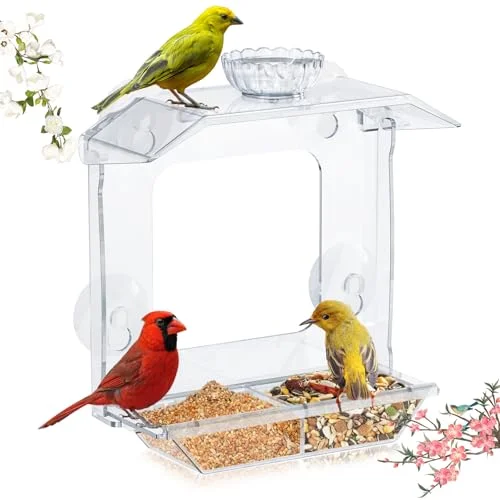 best bird feeder to entertain cats